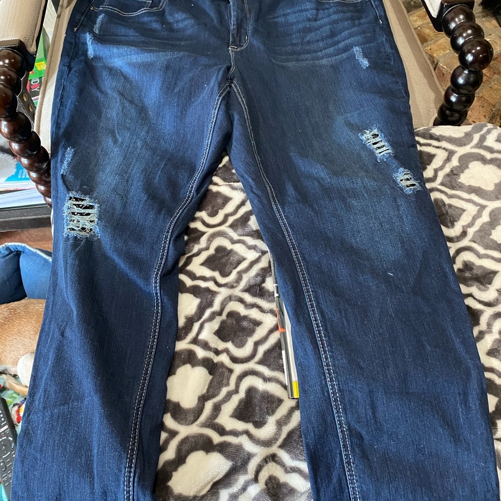 Melissa Mccarthy Used 24w Blue Jeans Skinny W/Acce View 4